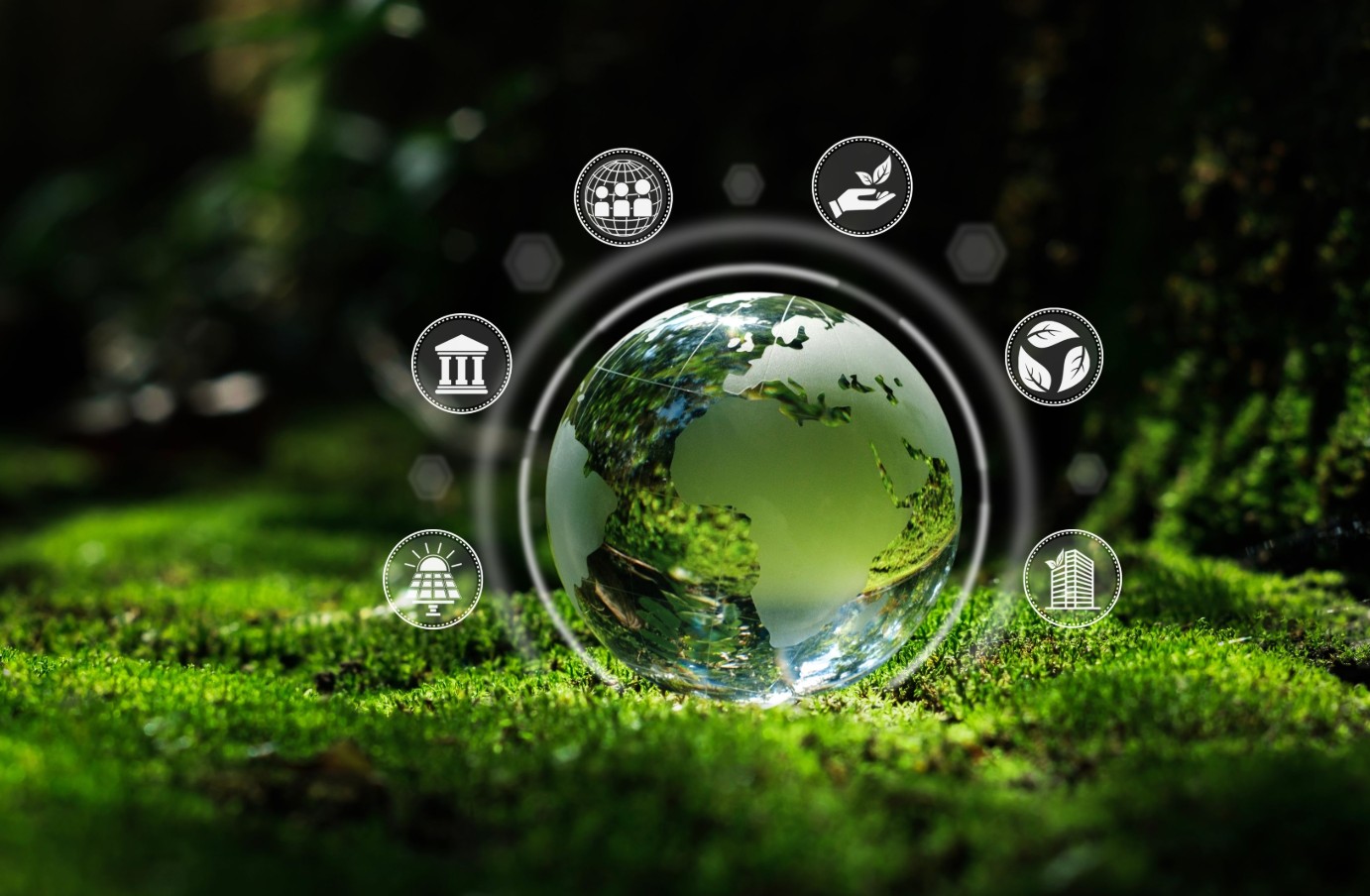 游艇会·yth206(中国)最新官方网站